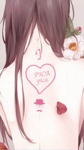 picacg 番剧排期表